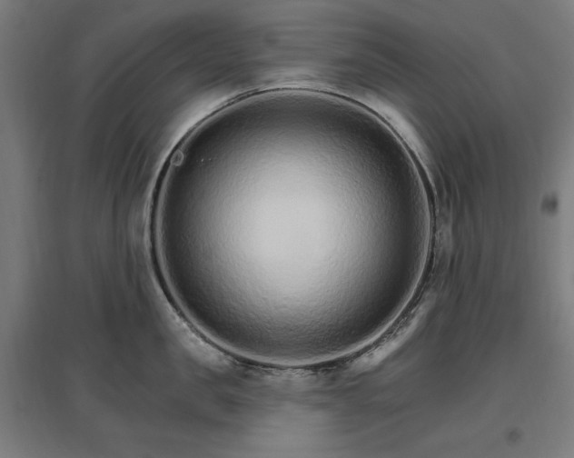 X0000096970957200802151306