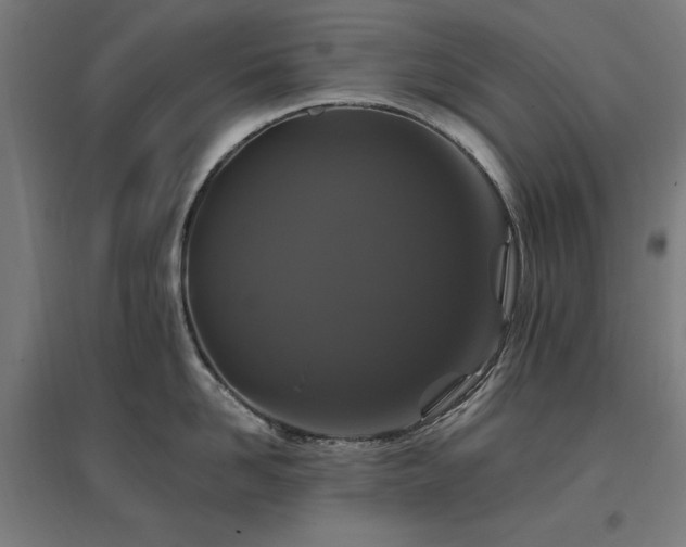 X0000096970958200802151306