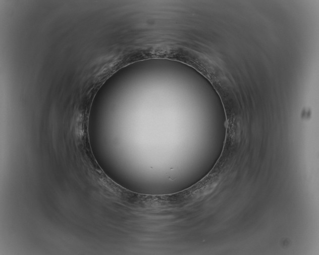 X0000096970962200802151305