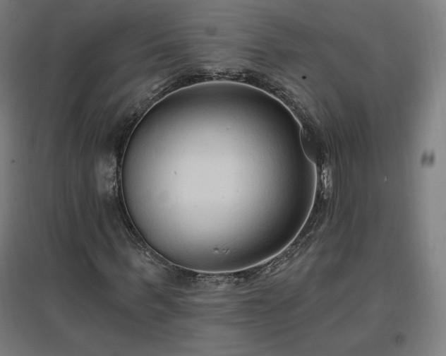 X0000096970963200802151305