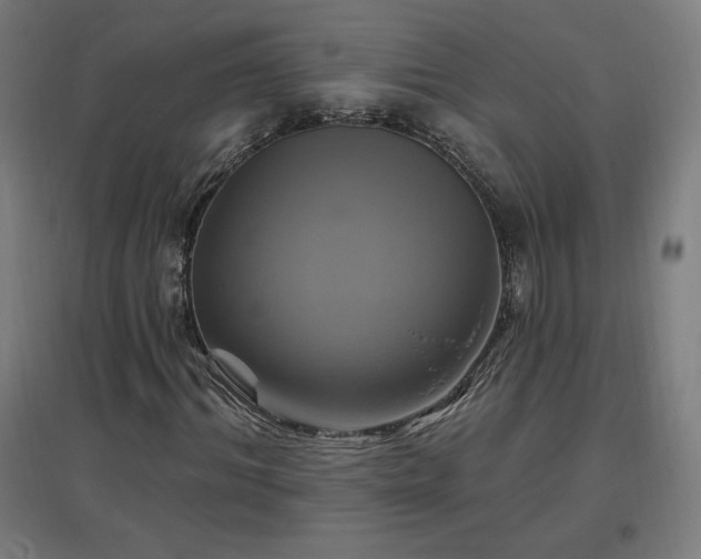 X0000096970964200802151305