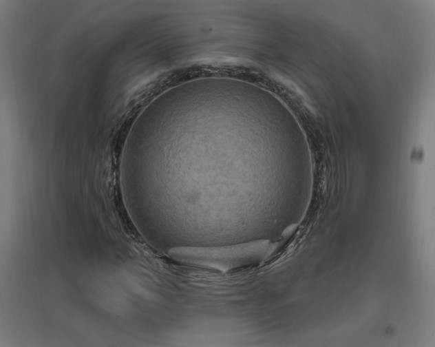 X0000096970966200802151305