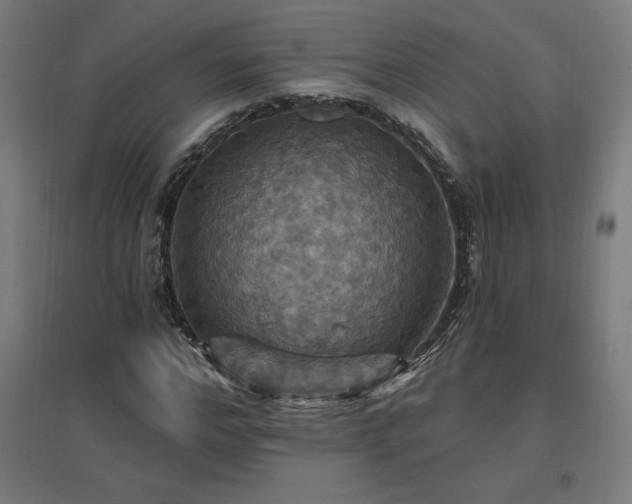 X0000096970968200802151305