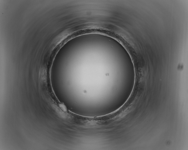 X0000096970969200802151305