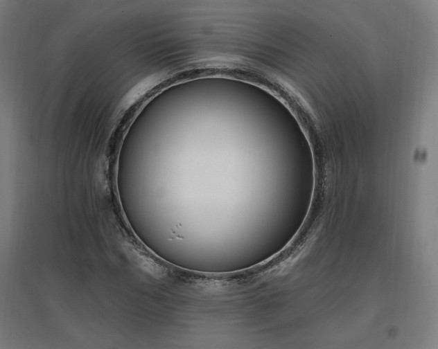 X0000096970970200802151305