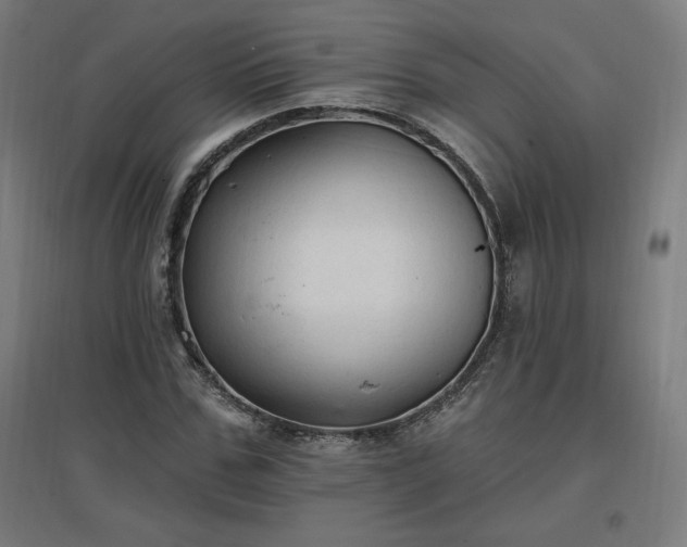 X0000096970971200802151305