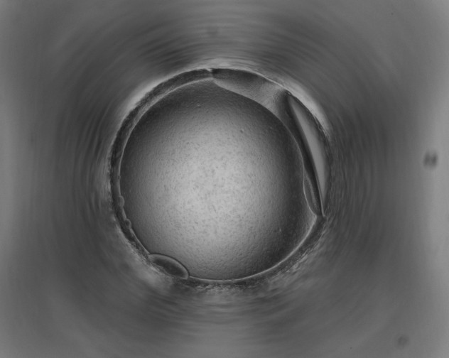 X0000096970972200802151305