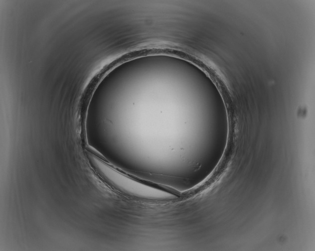 X0000096970973200802151305
