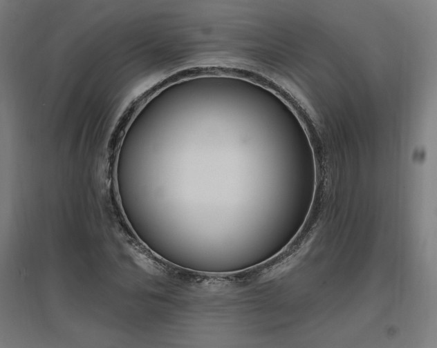 X0000096970974200802151305