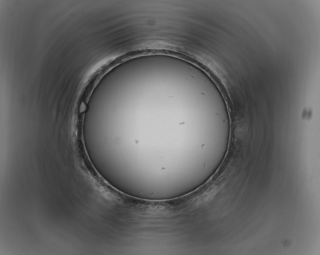 X0000096970979200802151305