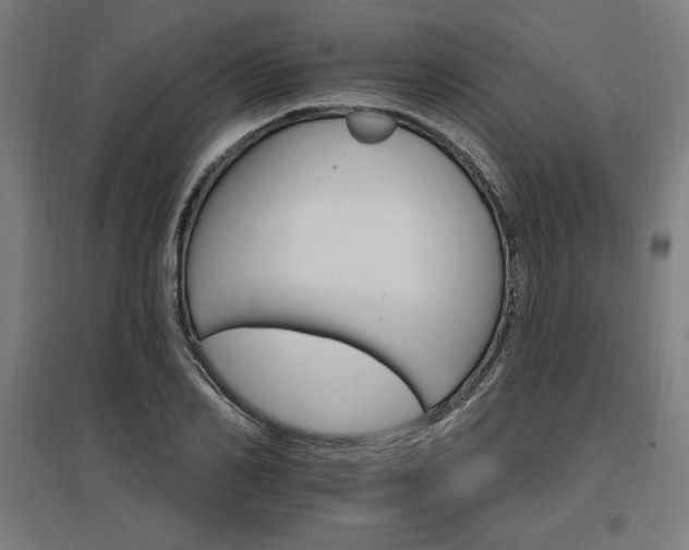 X0000096970982200802151305