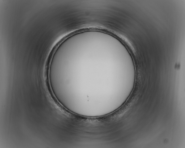 X0000096970983200802151305