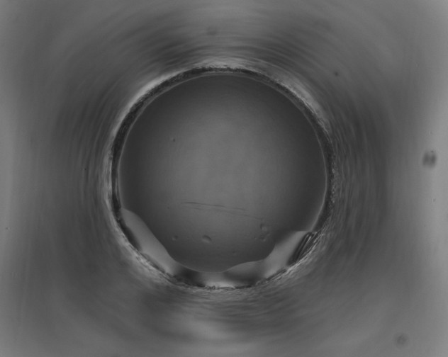 X0000096970984200802151305