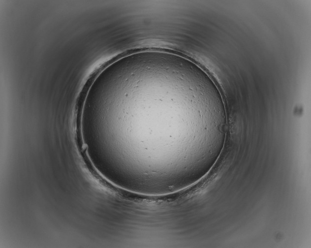 X0000096970987200802151305