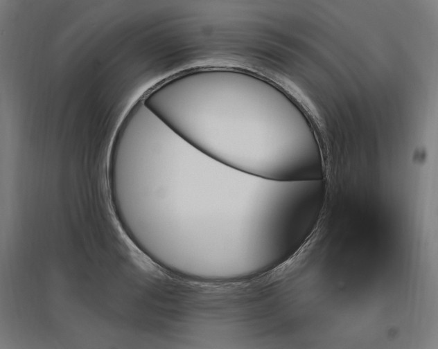 X0000096970988200802151305