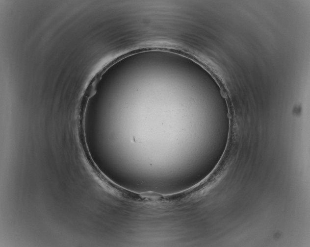 X0000096970989200802151305