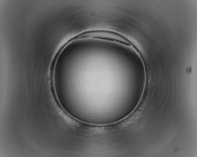 X0000096970990200802151305