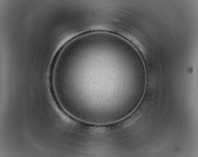 X0000096970991200802151305