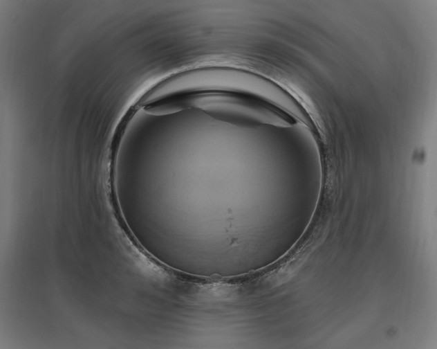 X0000096970992200802151305