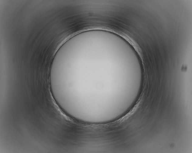 X0000096970993200802151305