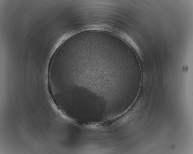 X0000096970994200802151305