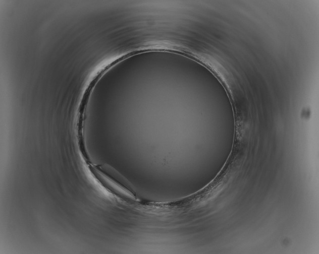 X0000096970995200802151305
