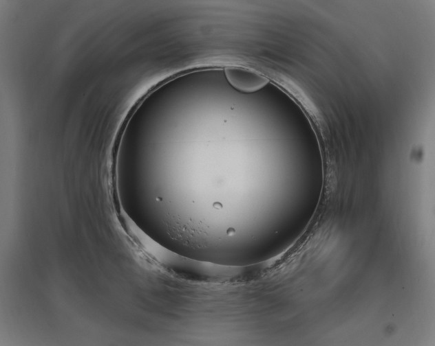 X0000096970996200802151304