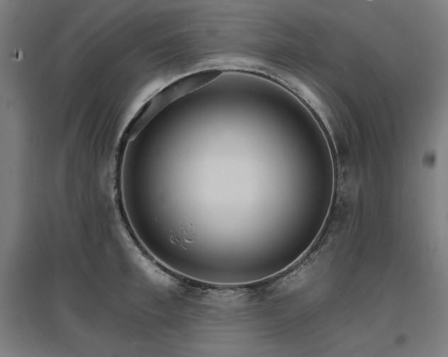 X0000096970997200802151304