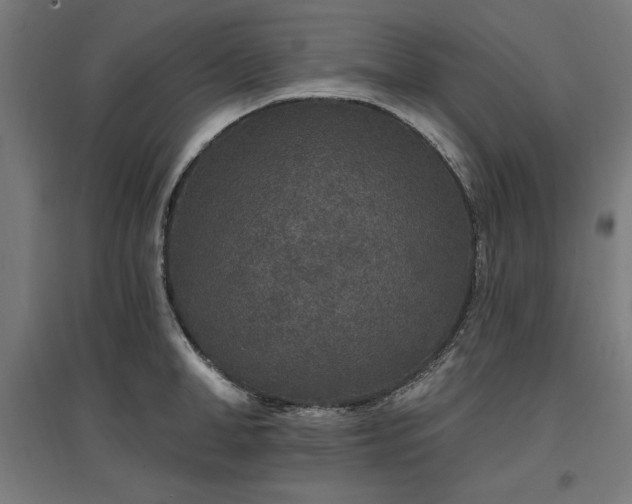 X0000096970998200802151304