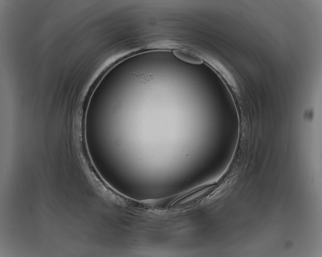 X0000096971000200802151304