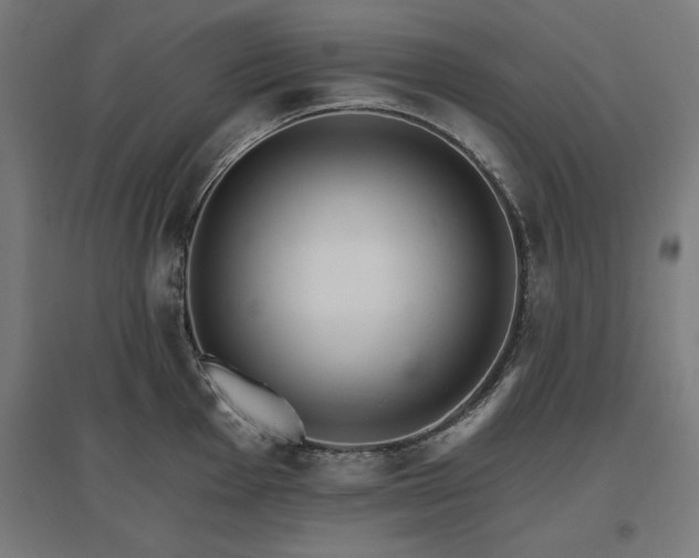 X0000096971001200802151304