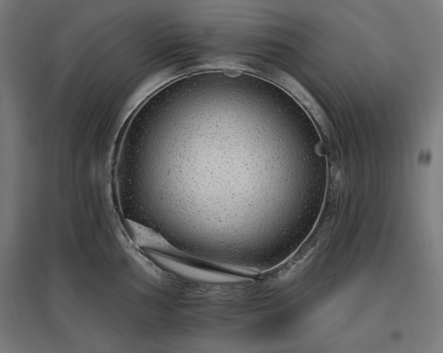 X0000096971002200802151304