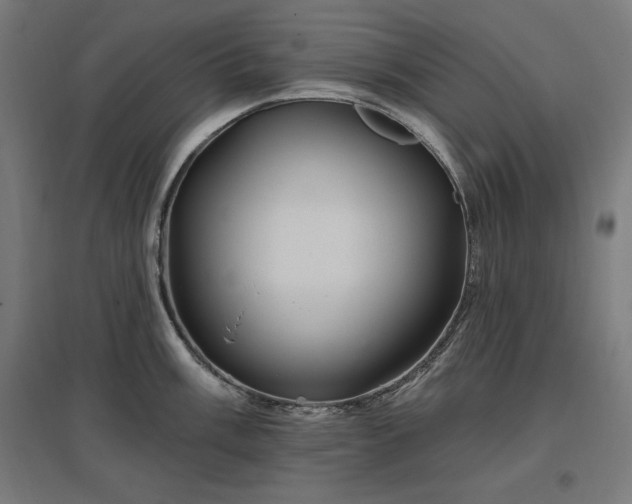 X0000096971003200802151304