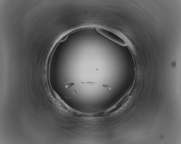 X0000096971004200802151304