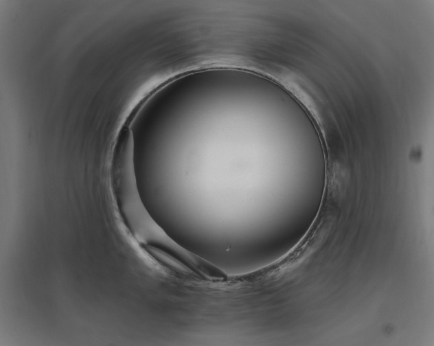 X0000096971005200802151304