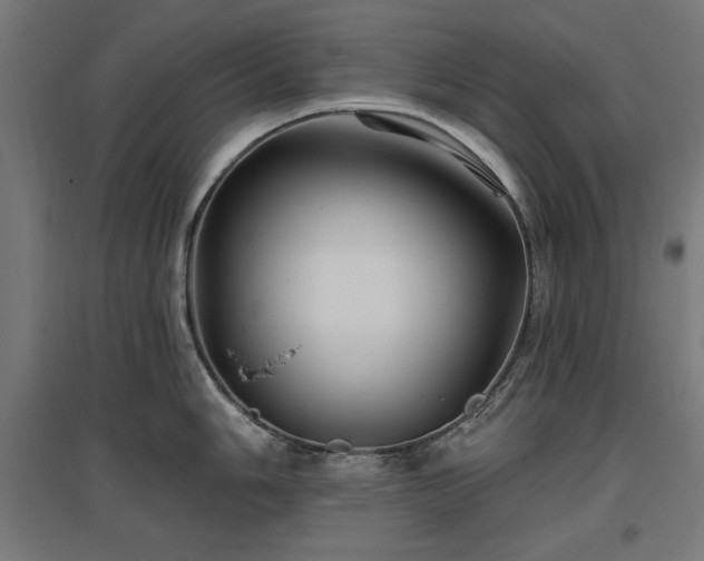 X0000096971006200802151304