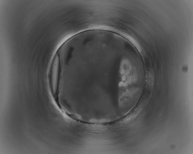 X0000096971007200802151304
