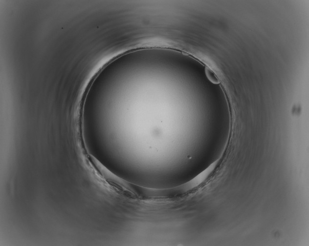 X0000096971008200802151304