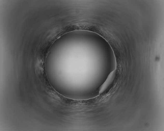X0000096971010200802151304
