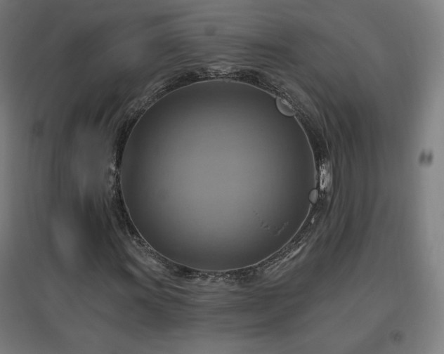 X0000096971011200802151304