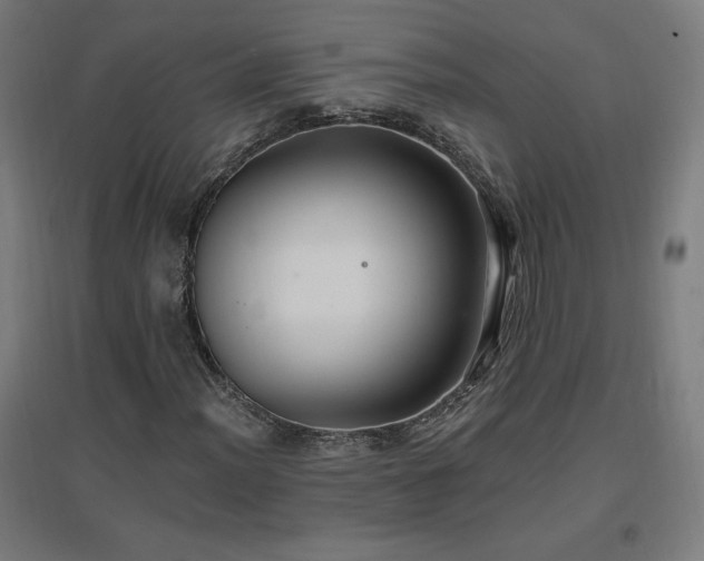 X0000096971012200802151304