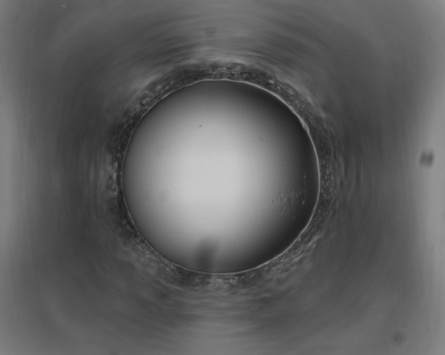 X0000096971013200802151304