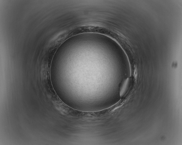 X0000096971014200802151304