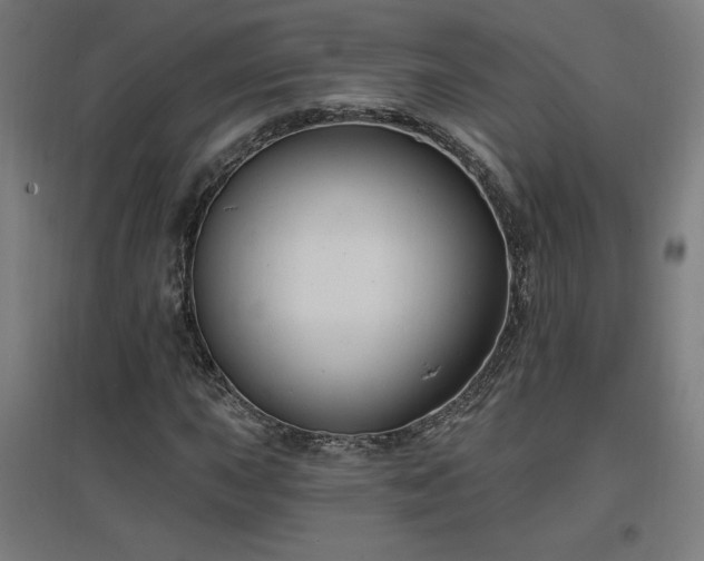 X0000096971015200802151304