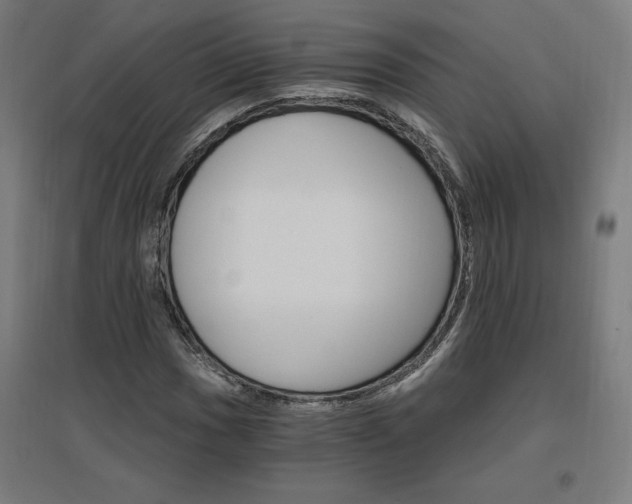 X0000096971017200802151304