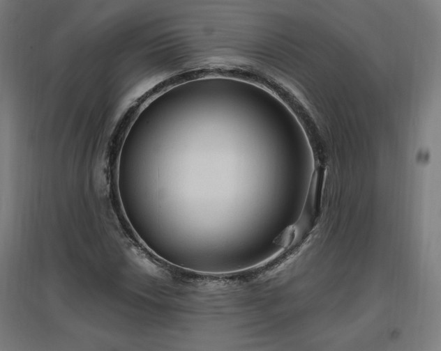 X0000096971018200802151304