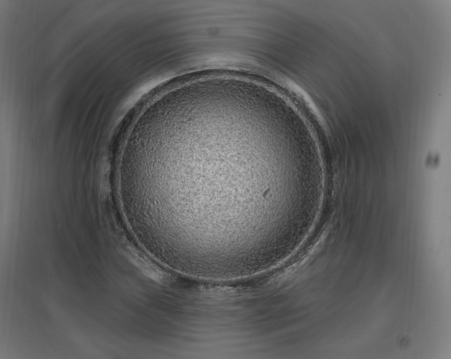 X0000096971019200802151304