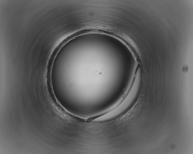X0000096971020200802151304