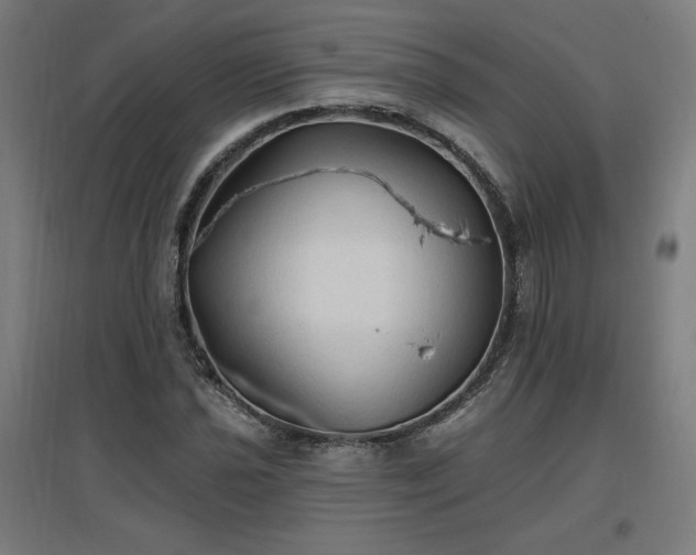 X0000096971021200802151304