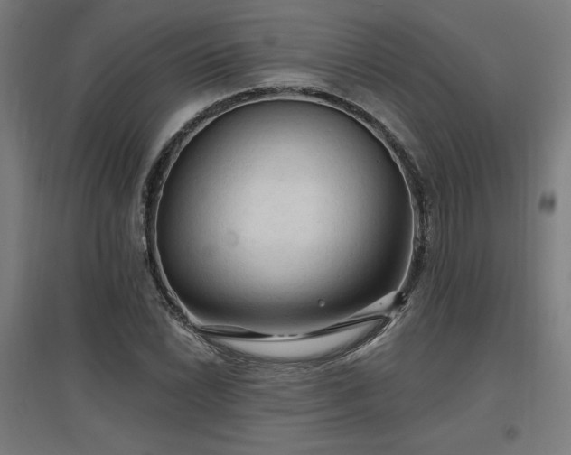 X0000096971022200802151304